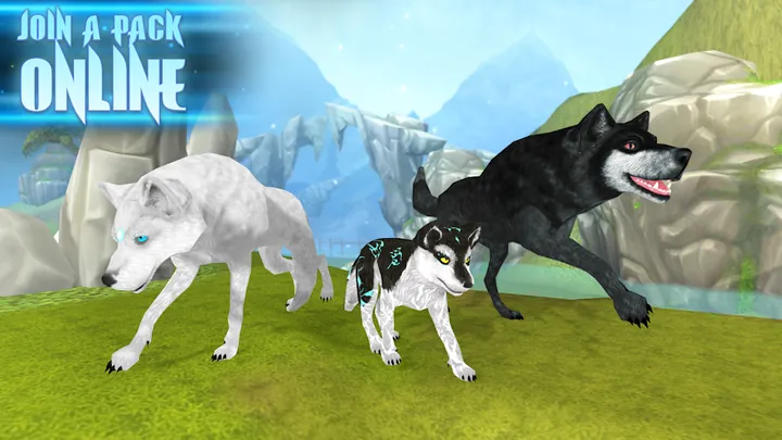A white wolf, a small marked wolf and a black wolf moving together across a grassy slope